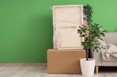 Mobilyalar, ev bitkisi ve yeşil duvarın yanında eşyalar olan karton kutular. Taşınma konsepti