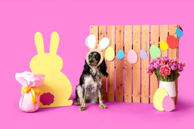 Paskalya hediyesi yumurtası, kağıttan tavşan, güzel laleler ve mor arka planda ahşap çitle tavşan kulaklı şirin cocker spaniel.