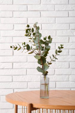 Okaliptüs dalları olan vazo odanın içindeki beyaz tuğla duvarın yanında, yakın plan.