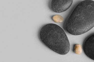 Gri arkaplanda farklı deniz taşları