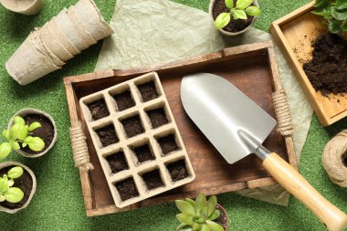 Saksı bitkileri ve yeşil arka planda farklı bahçe malzemeleri içeren kompozisyon