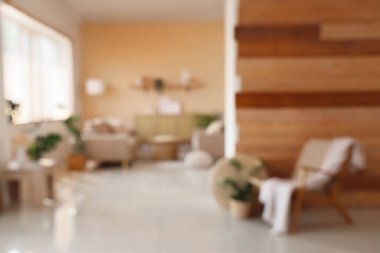 Rahat kanepesi, koltuğu ve çiçekleri olan şık odanın bulanık görüntüsü