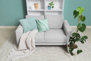 Oturma odasının içinde rahat bir kanepe ve nane duvarının yanında raf ünitesi var.