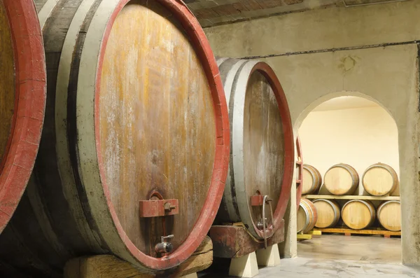 Velhos barris de vinho em uma adega — Fotografia de Stock