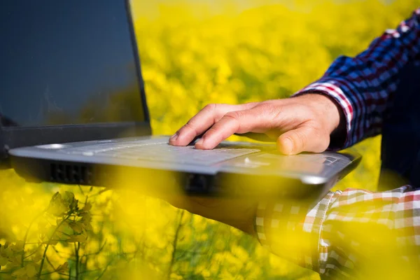 Jordbrukaren inspektera kvaliteten på raps fält — Stockfoto