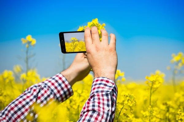 Jordbrukaren inspektera kvaliteten på raps fält och ta foto med mobiltelefon — Stockfoto