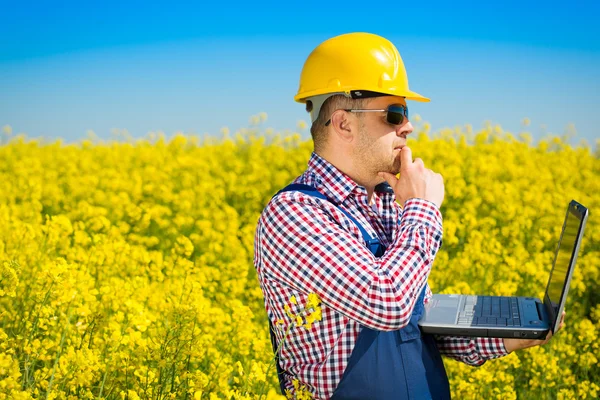 Worker in a rapeseed field doing inspection for biodiesel production — Stock Photo, Image