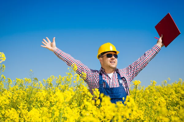 Trabalhador num campo de colza a inspeccionar a produção de biodiesel — Fotografia de Stock