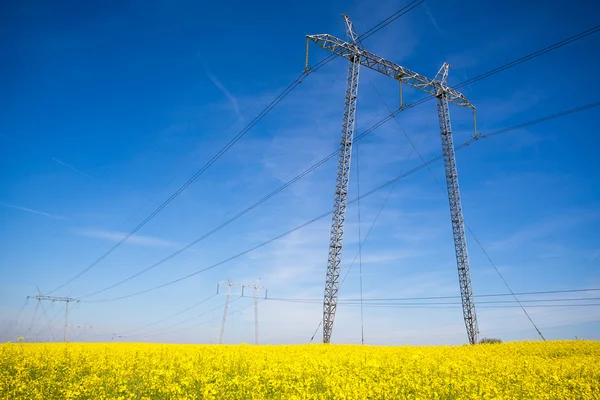 Pilões de eletricidade em um campo de estupro — Fotografia de Stock