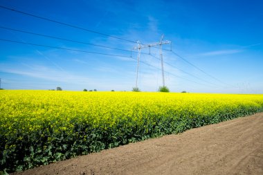 elektrik direkleri alanındaki tecavüz