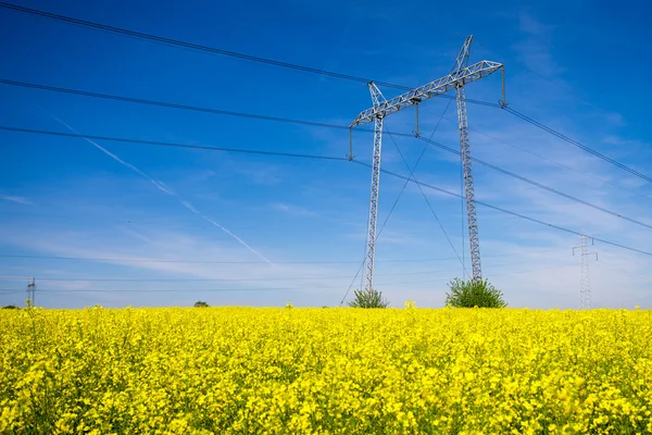 Pilões de eletricidade em um campo de estupro — Fotografia de Stock