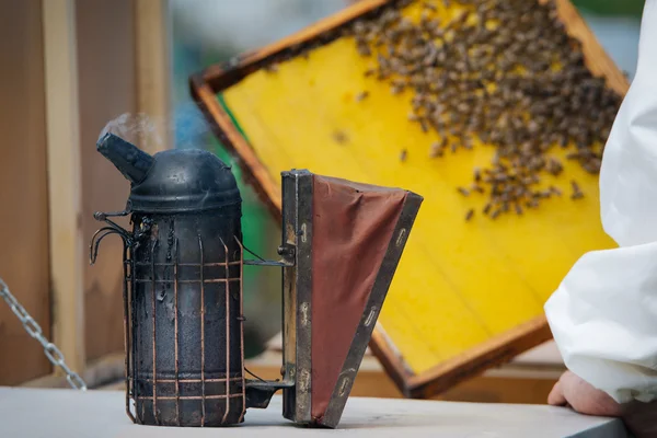 Apicultor sosteniendo marco de panal con abejas de trabajo al aire libre — Foto de Stock