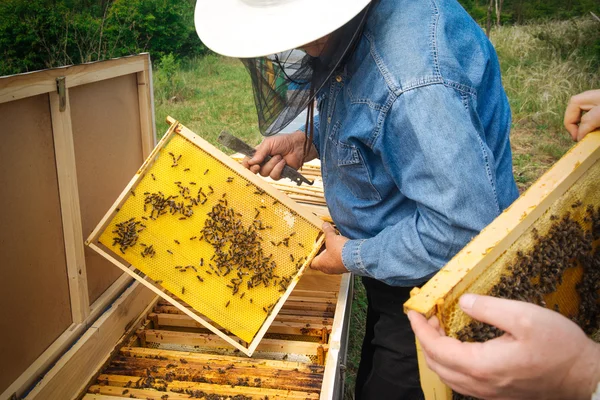 Bijenhouder met honingraat en werkbijen buitenshuis — Stockfoto