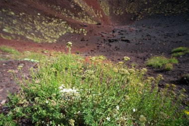 Etna yanardağı kraterler Sicilya, İtalya