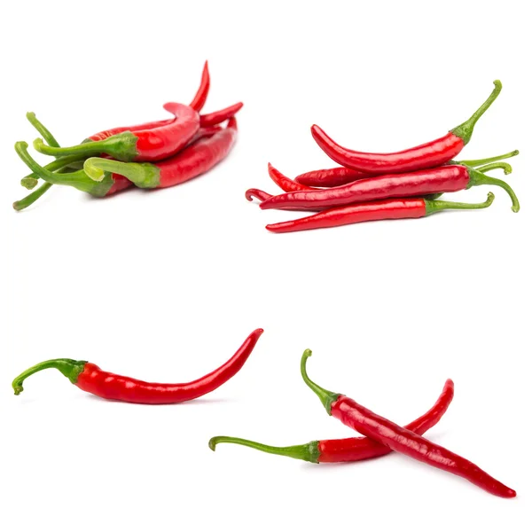 Red hot chili biber kolaj — Stok fotoğraf