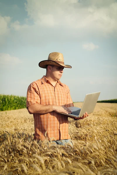 Granjero revisando su campo de trigo y trabajando en el ordenador portátil — Foto de Stock