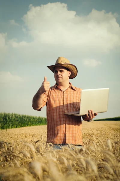 Jordbrukaren kontrollera sitt vete område och arbetar på bärbar dator — Stockfoto