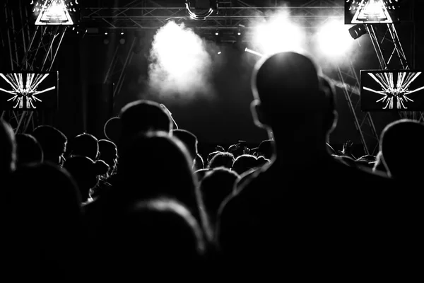 Lidé na koncertní party — Stock fotografie