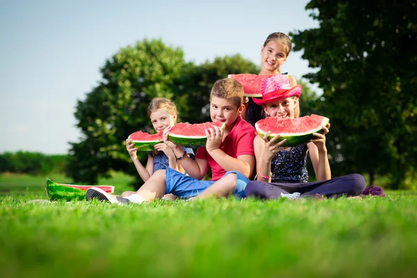 Schattige kinderen eten watermeloen op een zonnige dag — Stockfoto