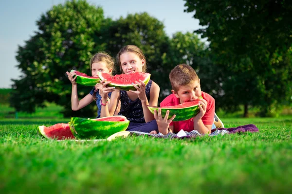 Schattige kinderen eten watermeloen op een zonnige dag — Stockfoto