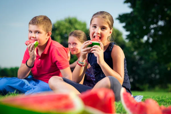 Schattige kinderen eten watermeloen op een zonnige dag — Stockfoto