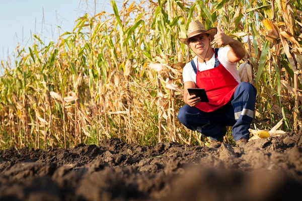 L'agricoltore controlla il suo campo di grano — Foto Stock