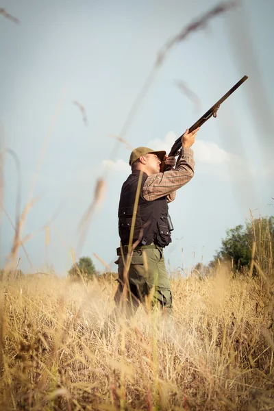Hunter wild duck hunting — Stock Photo, Image