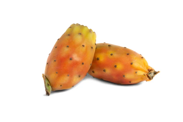 Indian Fig Opuntia Prickly White Background — Stock Photo, Image