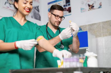 Veteriner köpekler için enjeksiyon hazırlıyor..