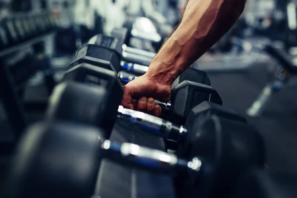 Rows Dumbbells Gym Hand — Stock Photo, Image