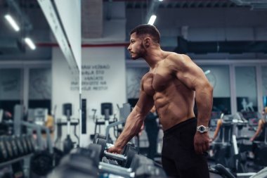 Spor salonunda dambıllarla çalışan genç vücut geliştirici.