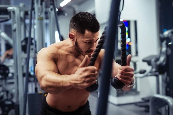 Muscular Man Working Out Gym Doing Exercises Triceps — Stock Photo, Image