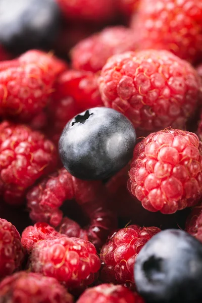 Fresh blueberries and raspberries — Stock Photo, Image