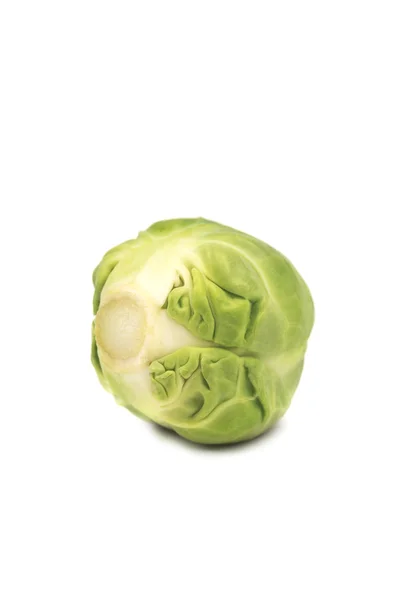 Rosenkohl — Stockfoto