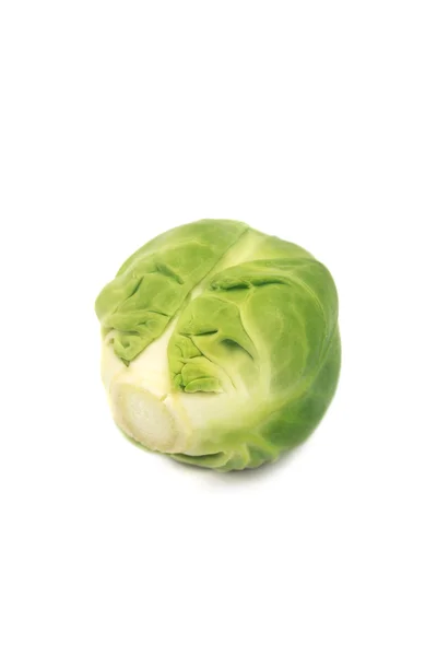 Rosenkohl — Stockfoto