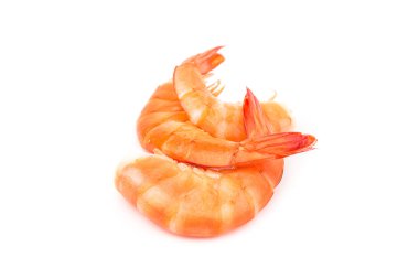 Beyaz arka planda karidesler