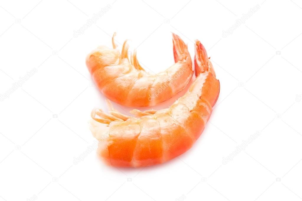 Shrimps on a white background