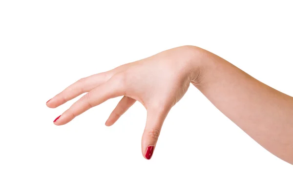 Female hands over white background — Stock Photo, Image