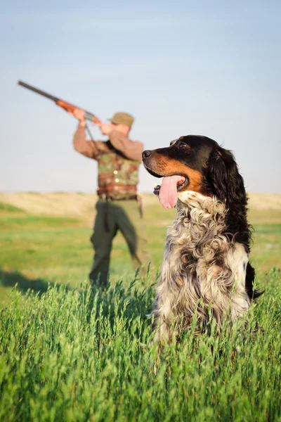 Jägare med hund siktar med sitt gevär — Stockfoto