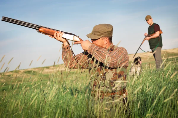 Hunter wilde eend jacht — Stockfoto