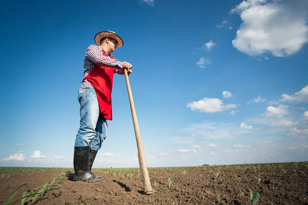 Travail manuel dans l'agriculture — Photo