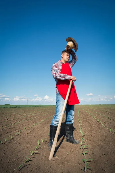 Travail manuel dans l'agriculture — Photo