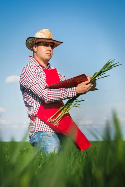 Agricoltore che controlla le sue colture — Foto Stock