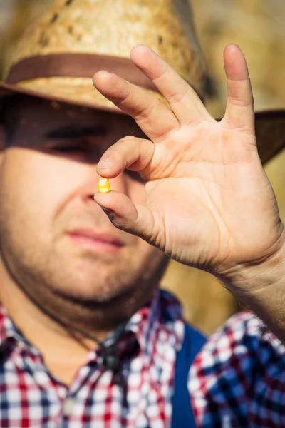 Farmer holding corn seed — Stock Photo, Image