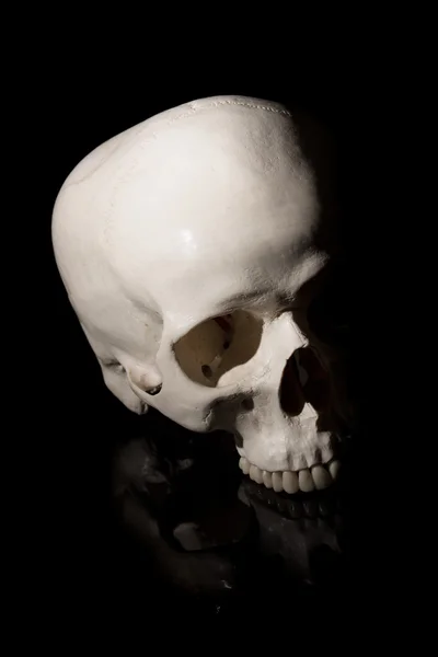 Cráneo humano sobre un fondo negro — Foto de Stock