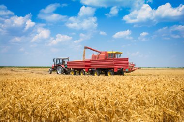römork için tohumları yükleme hasat makinesi
