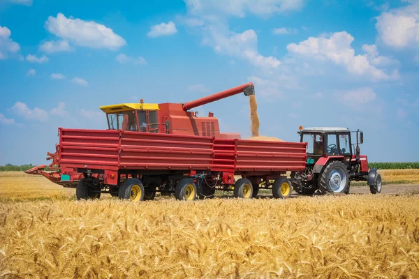 Harvest machine loading seeds in to trailer — Stock Photo, Image