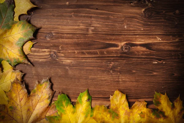 Kolekcja jesiennych liści na drewnianym tle — Zdjęcie stockowe