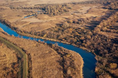 Sonbahar ormanının havadan görünüşü