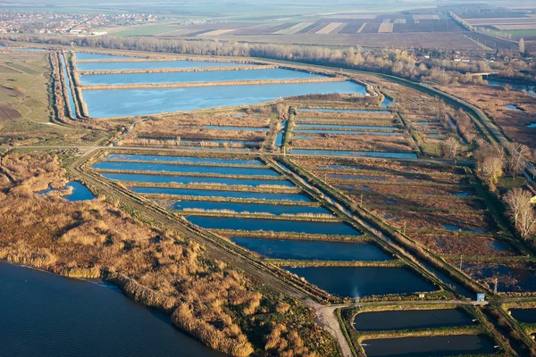 Vue aérienne du lac d'automne — Photo